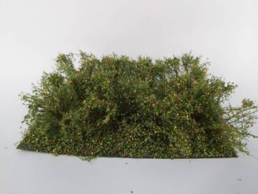 LATE SUMMER UNDERGROWTH BUCKBRUSH NEW!/15 x 9 cm